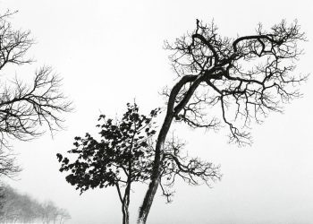 Duo Gazzana – Prokof’ev, Pärt, Schnittke