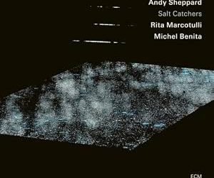 Salt Catchers – Sheppard | Marcotulli | Benita